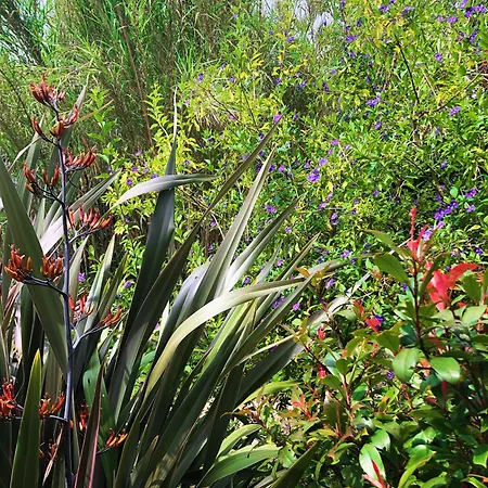 Le Jardin Des Portes * Les Portes-en-Re