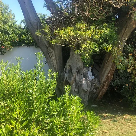 Le Jardin Des Portes *