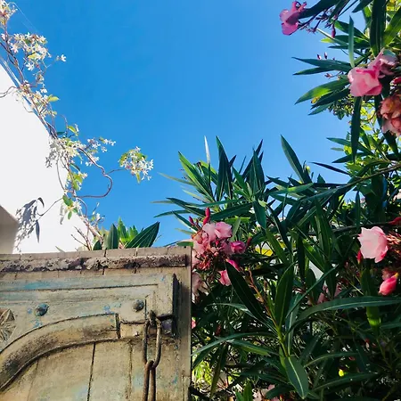 Le Jardin Des Portes