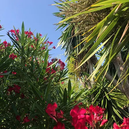 Le Jardin Des Portes Alojamento de Acomodação e Pequeno-almoço Les Portes-en-Re