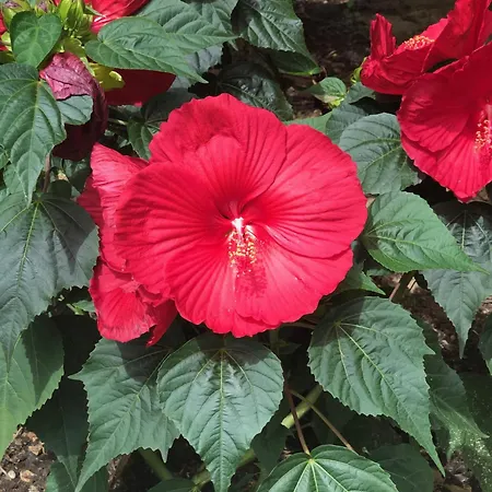 Le Jardin Des Portes